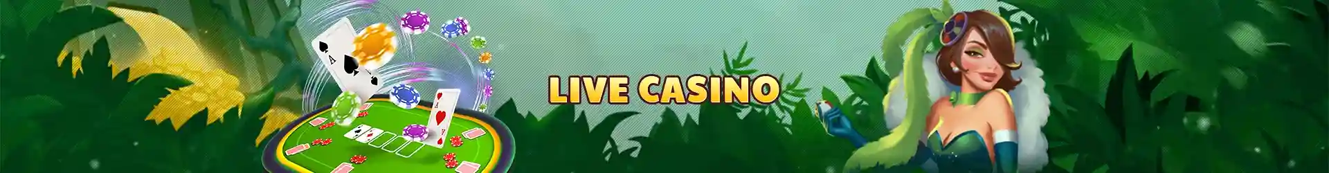 OKPCSO Live Casino
